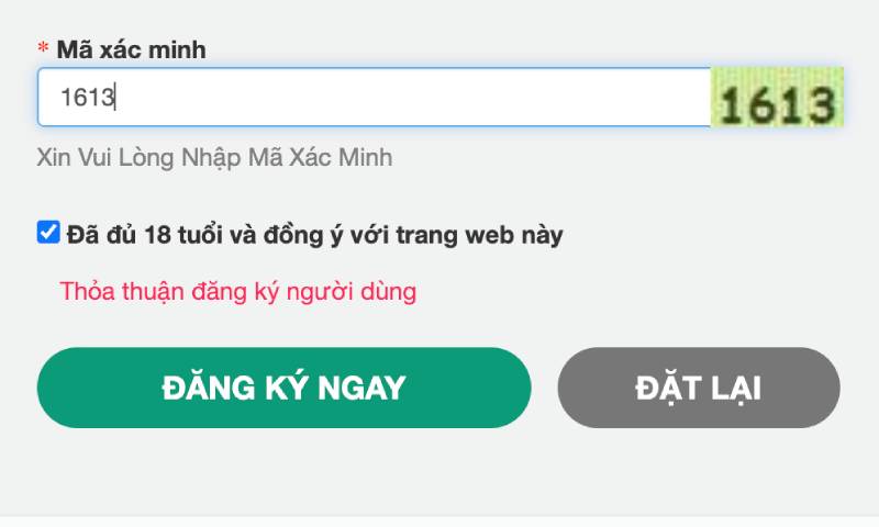 Bước 3: Nhập mã xác minh (CAPTCHA)