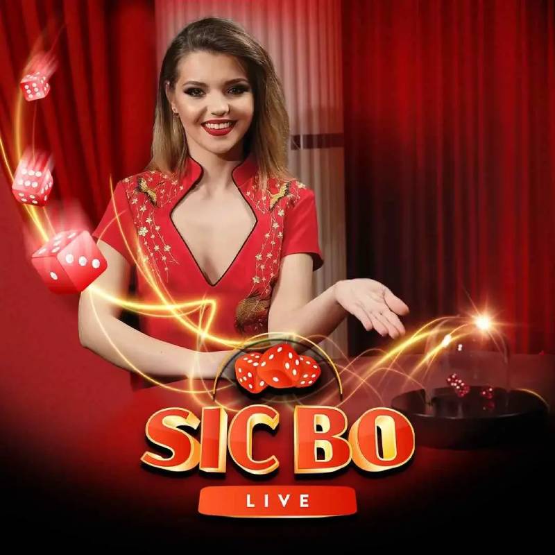 Sicbo là gì? Cơ bản nhưng đầy hấp dẫn